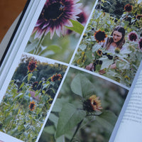 From Seed to Bloom by Milli Proust