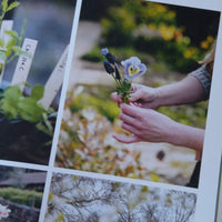 From Seed to Bloom by Milli Proust