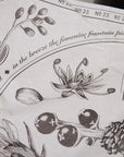 Fischersund Candle no.23