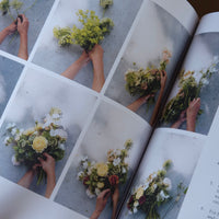 From Seed to Bloom by Milli Proust