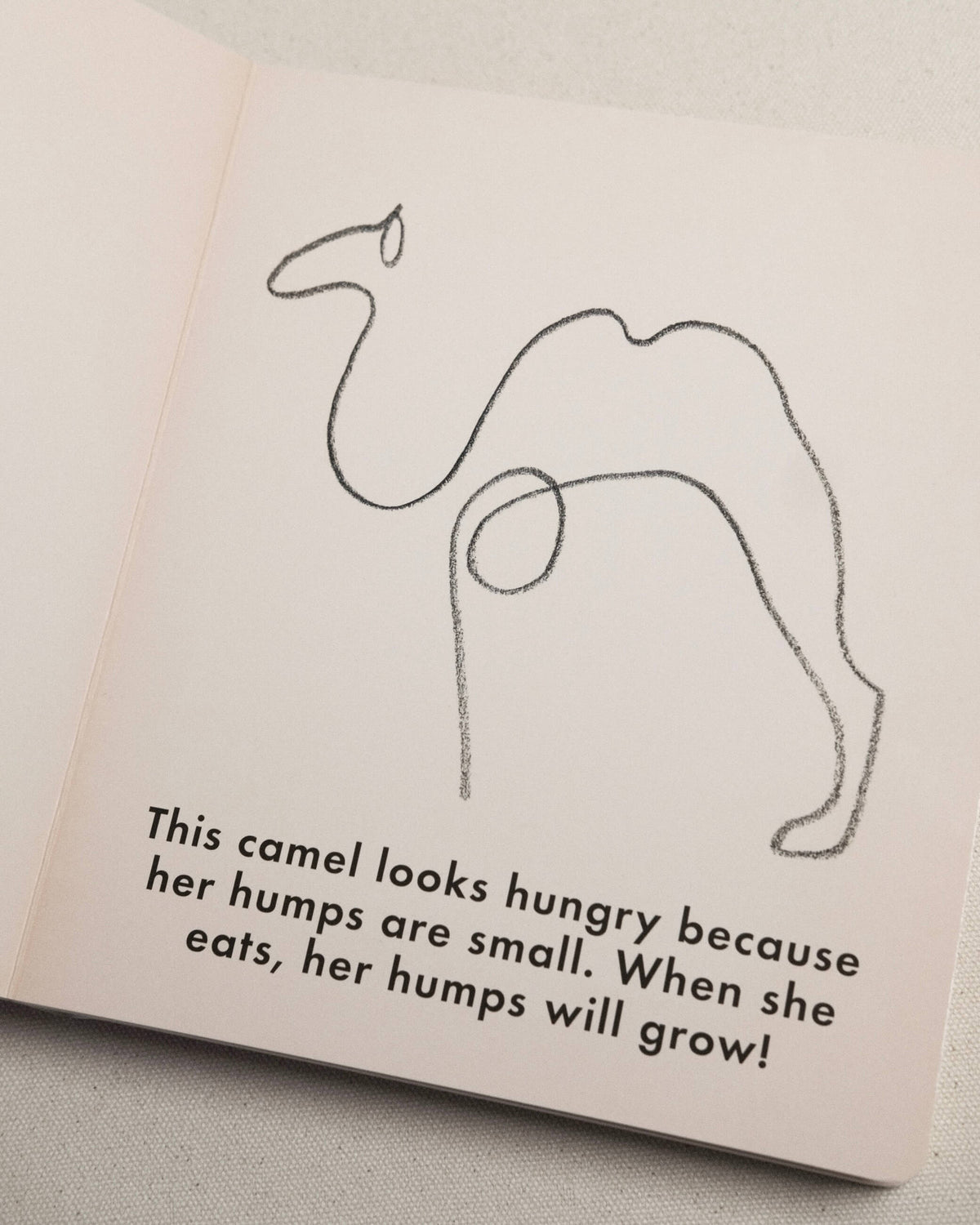 Birds &amp; Other Animals with Pablo Picasso