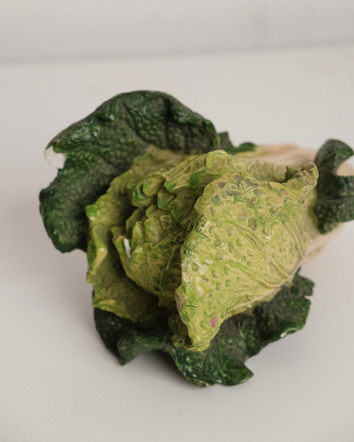Vintage French Cabbage no. 2