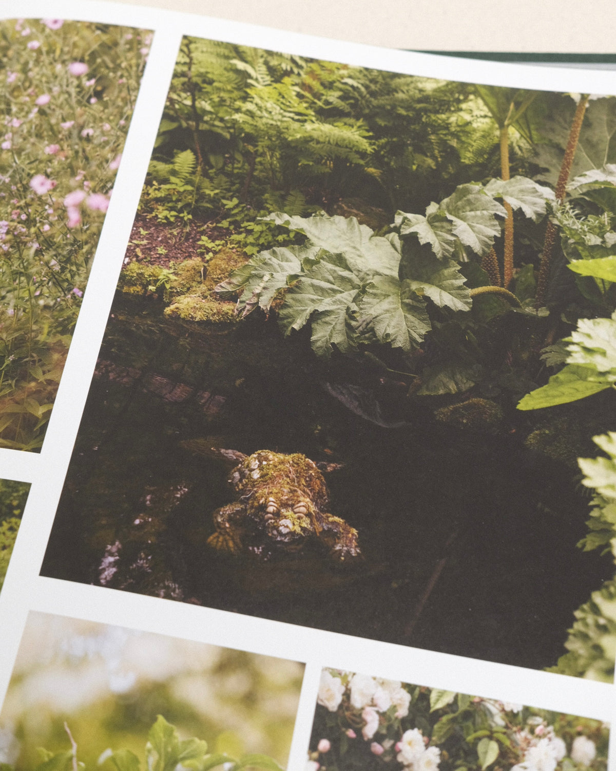 Wonderlands - British Garden Designers at Home