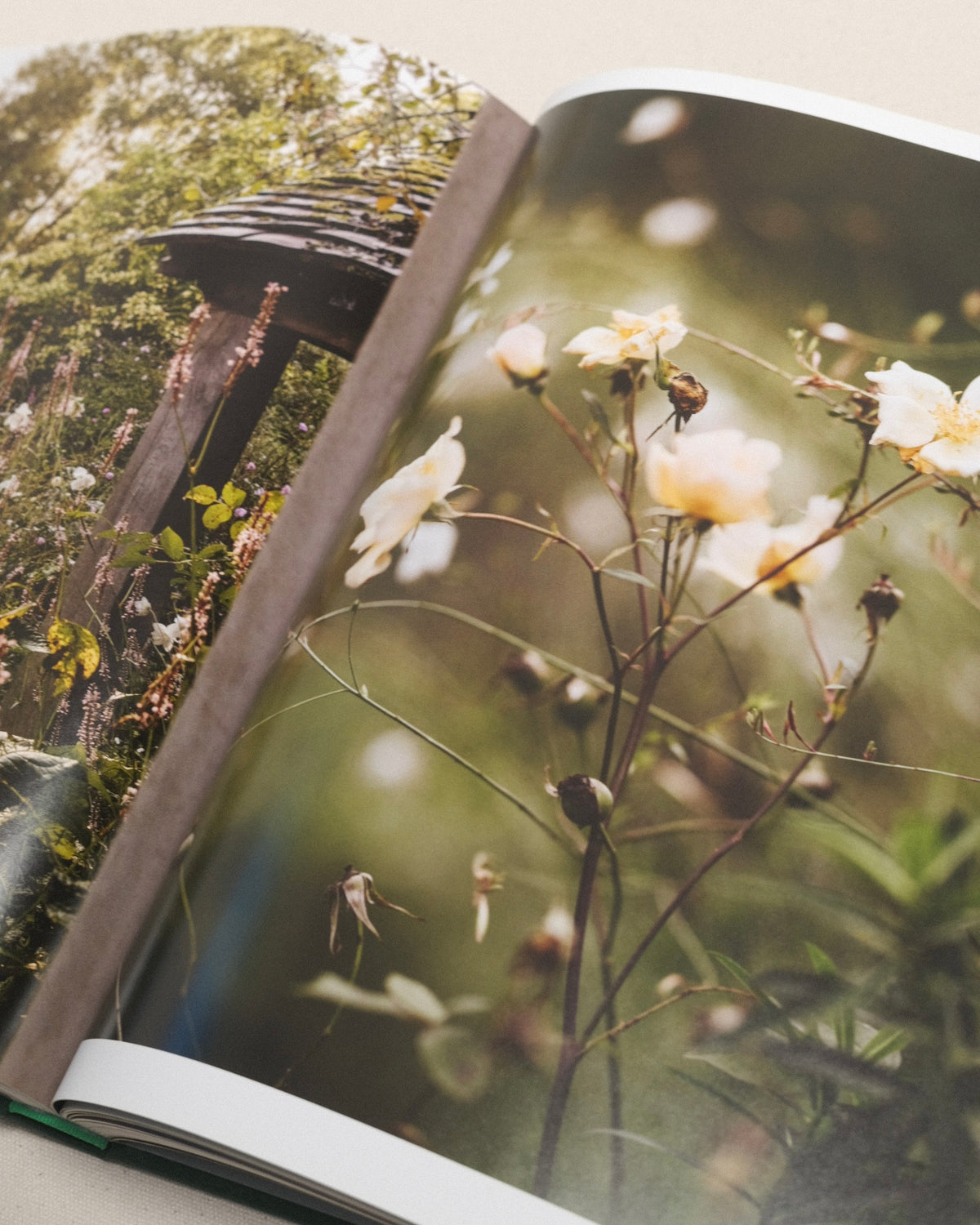 Wonderlands - British Garden Designers at Home