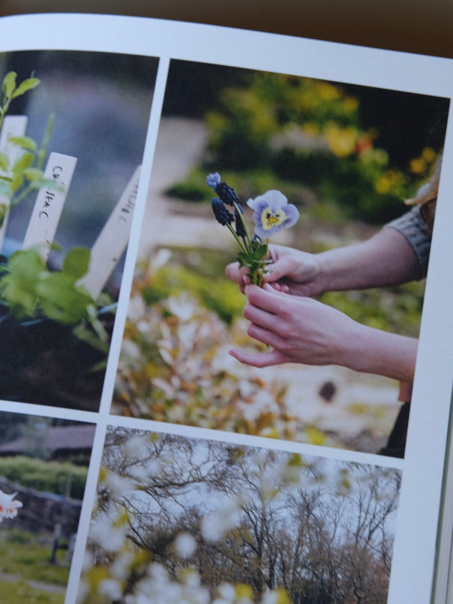From Seed to Bloom by Milli Proust