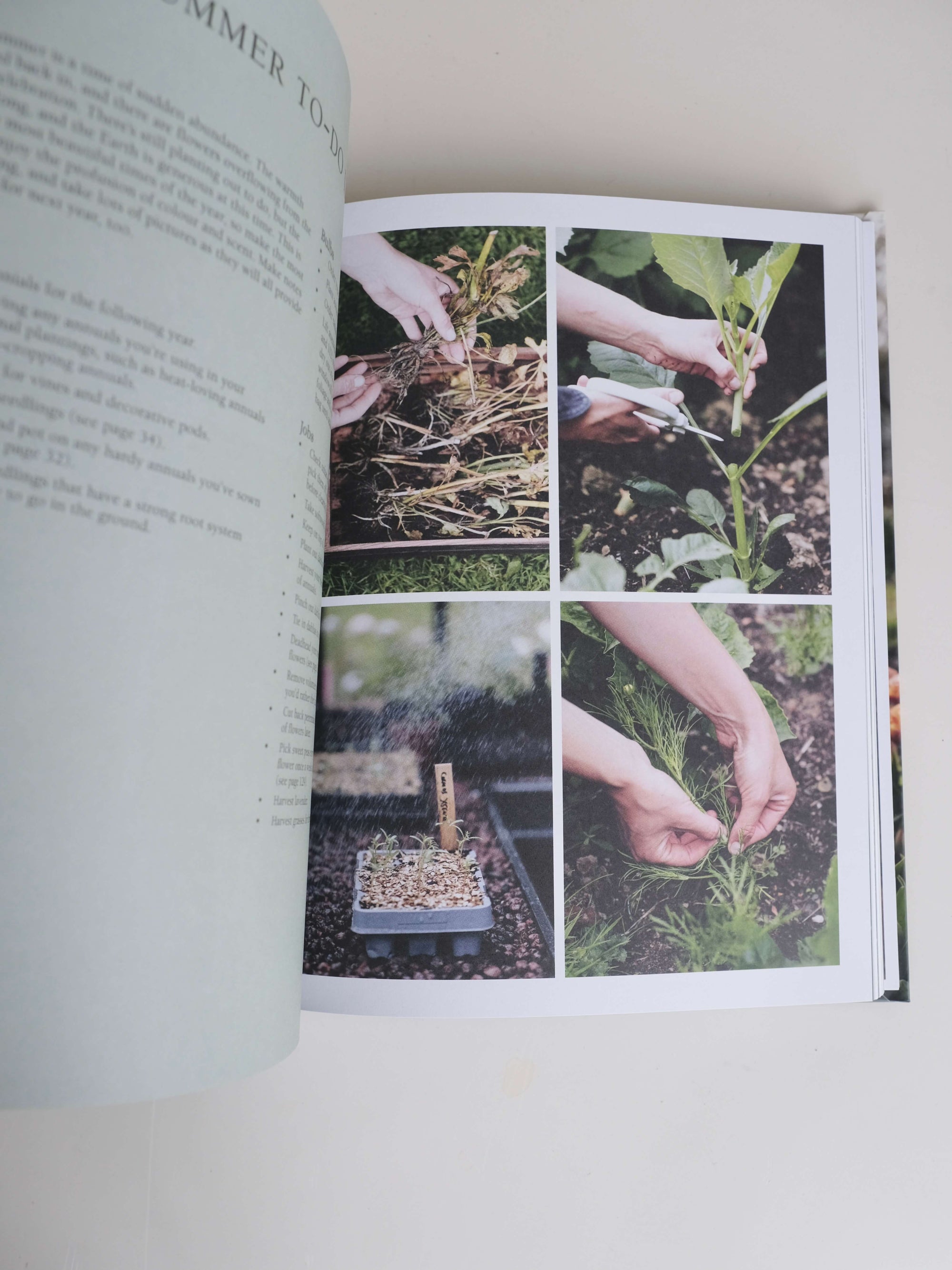 From Seed to Bloom by Milli Proust