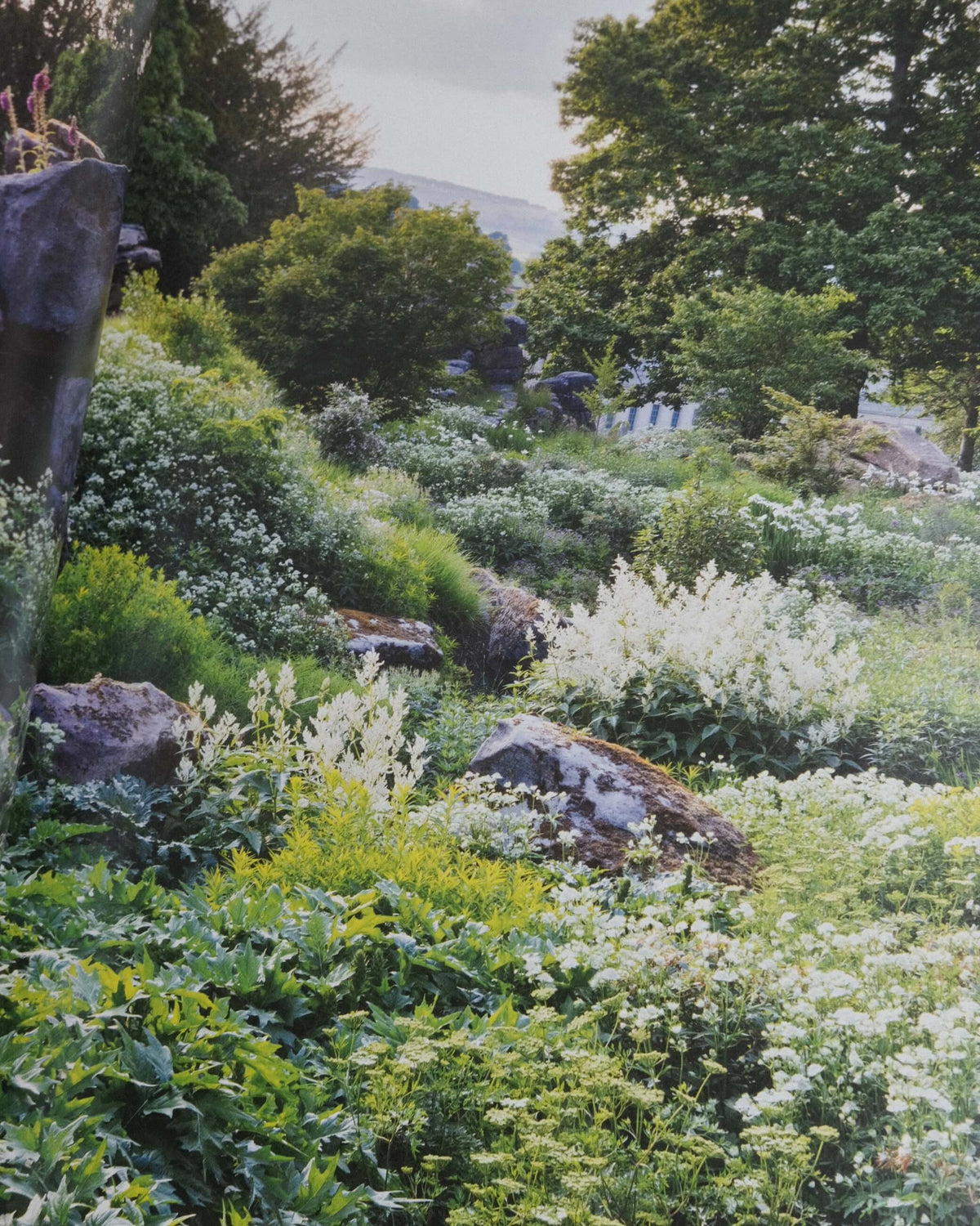 The New Beautiful - Inspiring Gardens for a Resilient Future