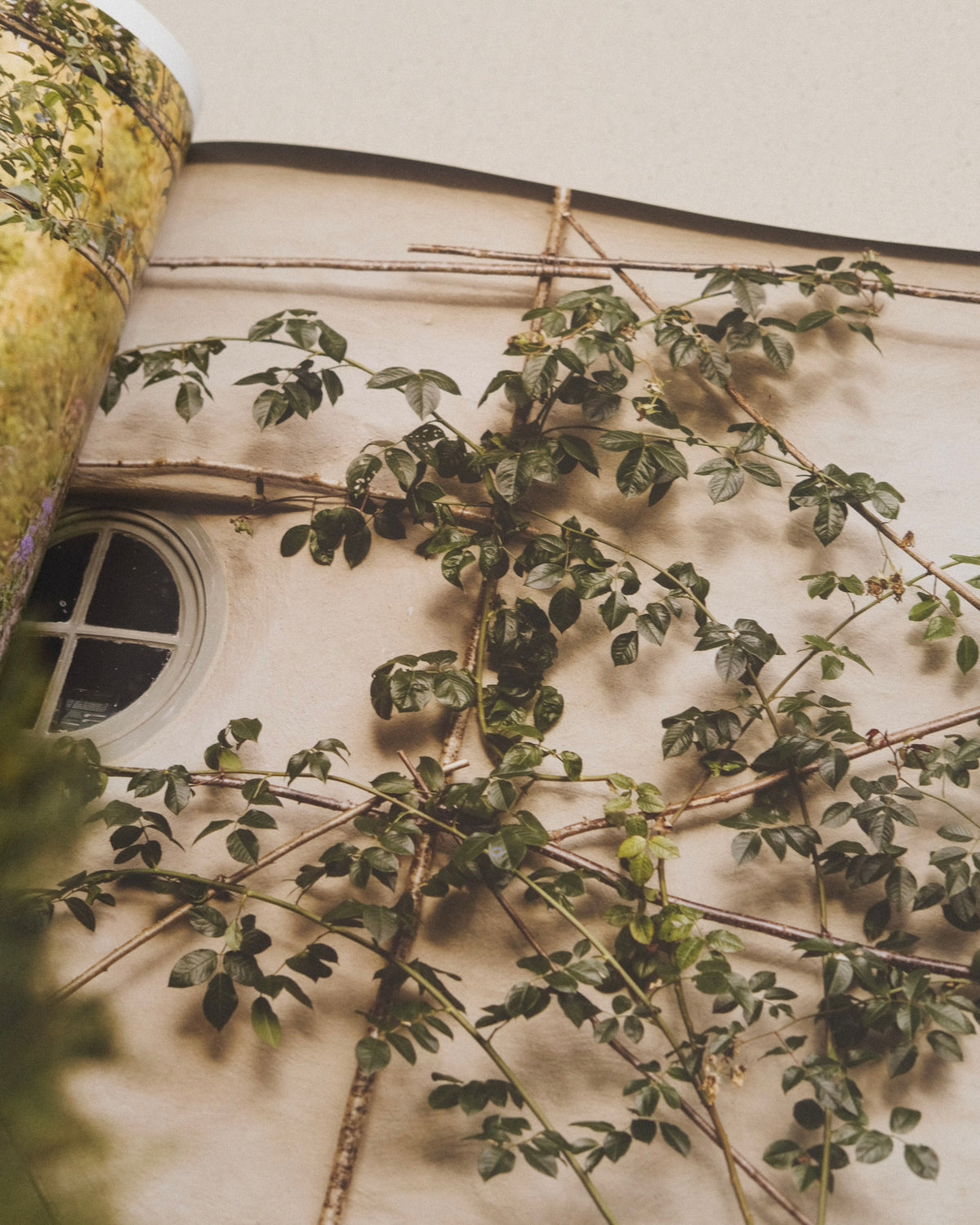 Wonderlands - British Garden Designers at Home