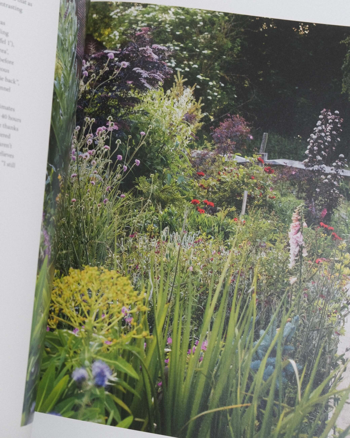 The New Beautiful - Inspiring Gardens for a Resilient Future
