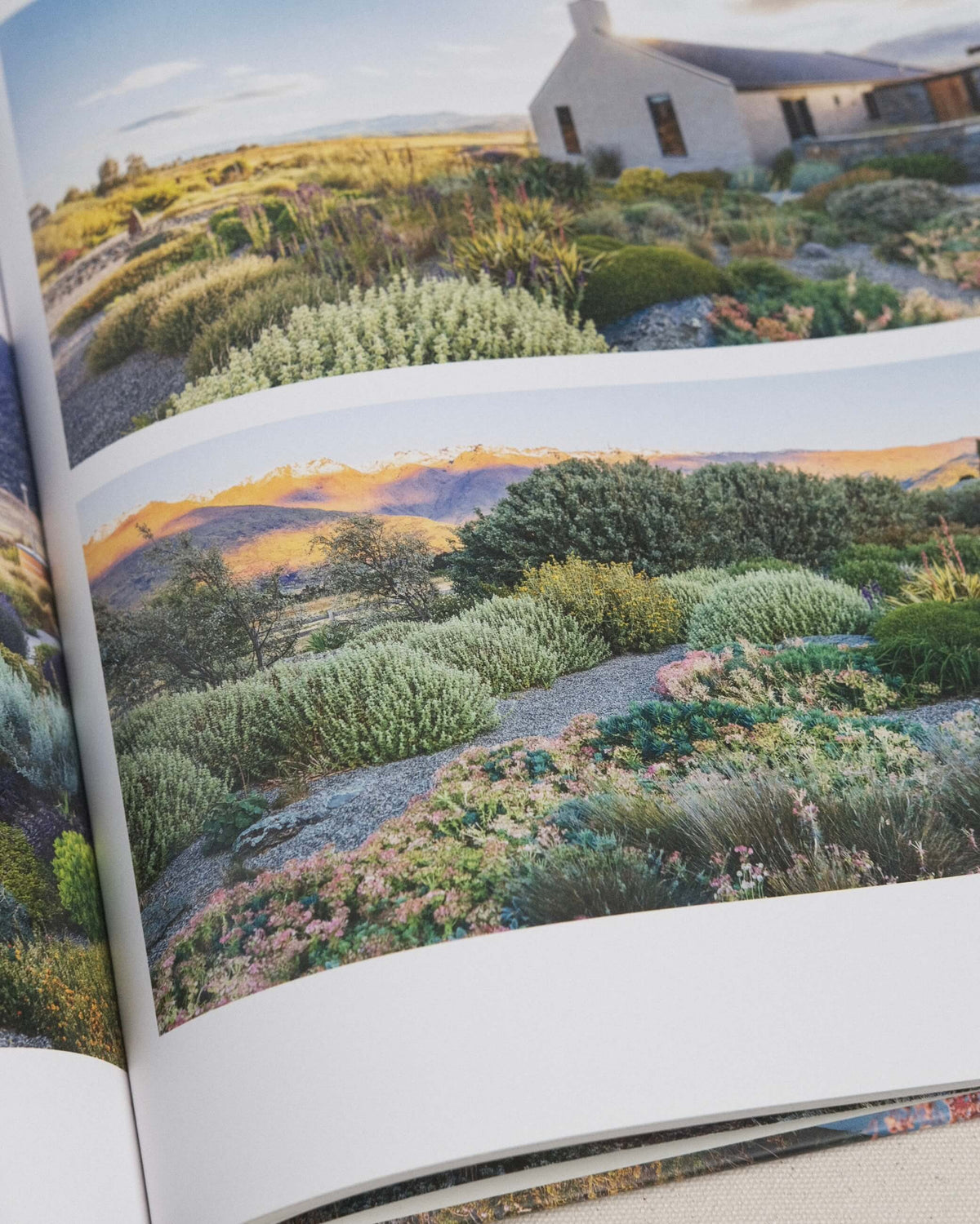 Visionary Gardens and Landscapes for our Future