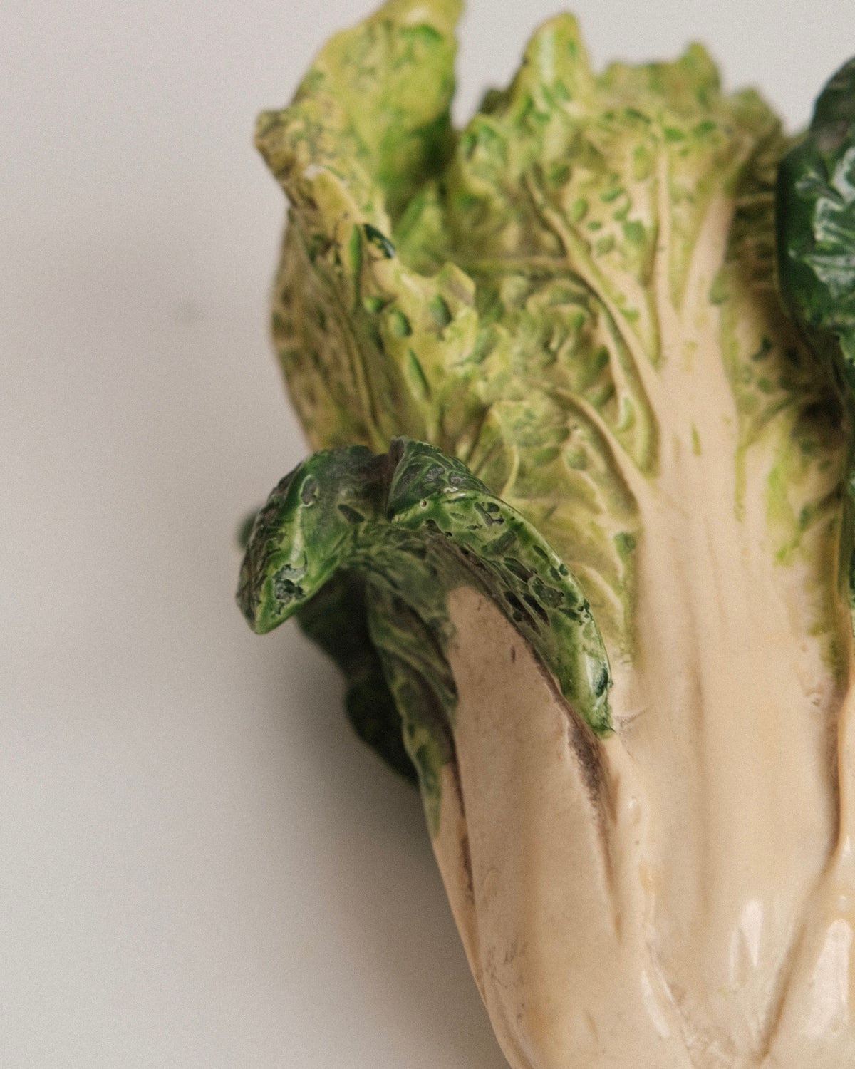 Vintage French Cabbage no. 2
