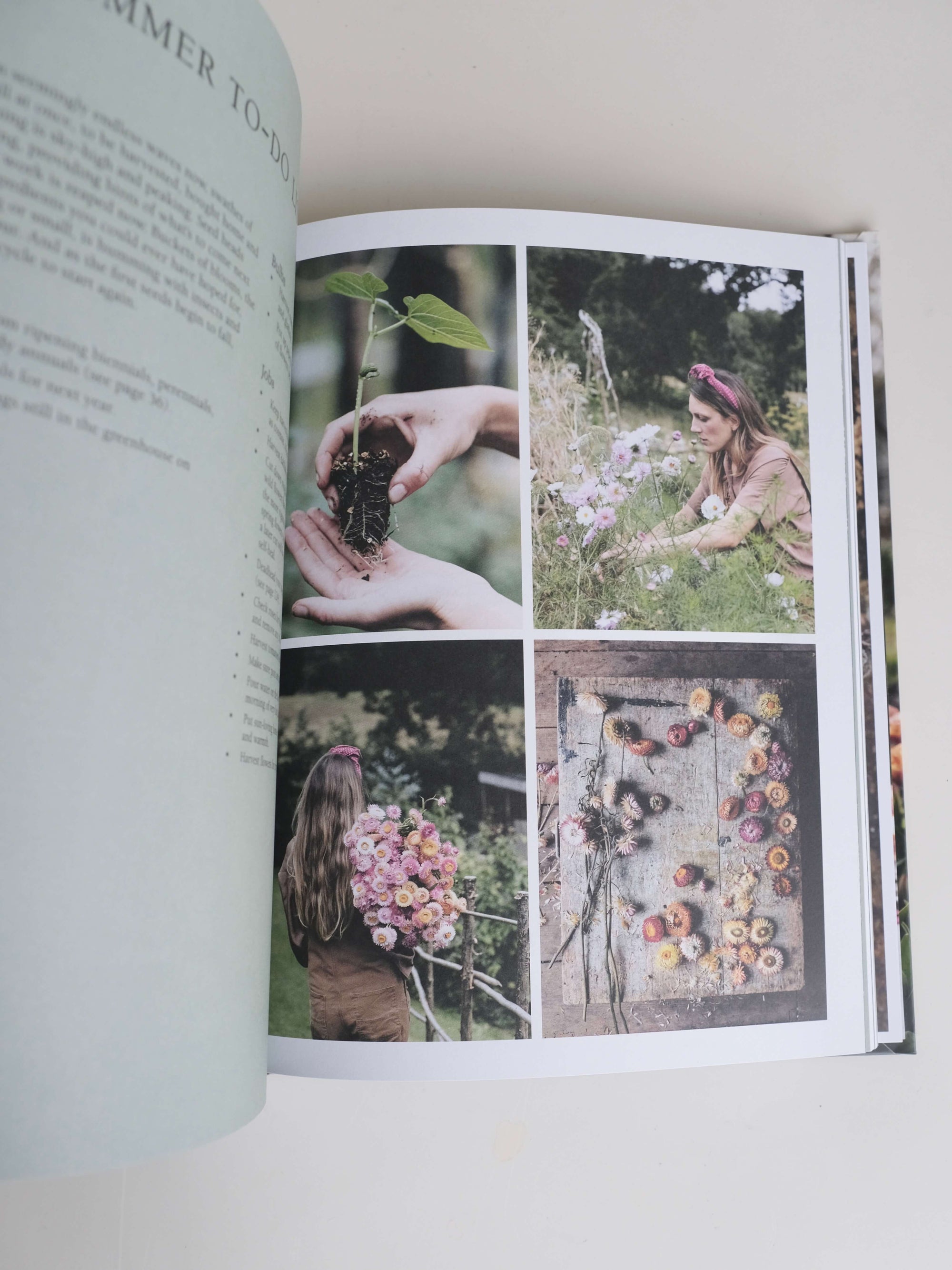 From Seed to Bloom by Milli Proust