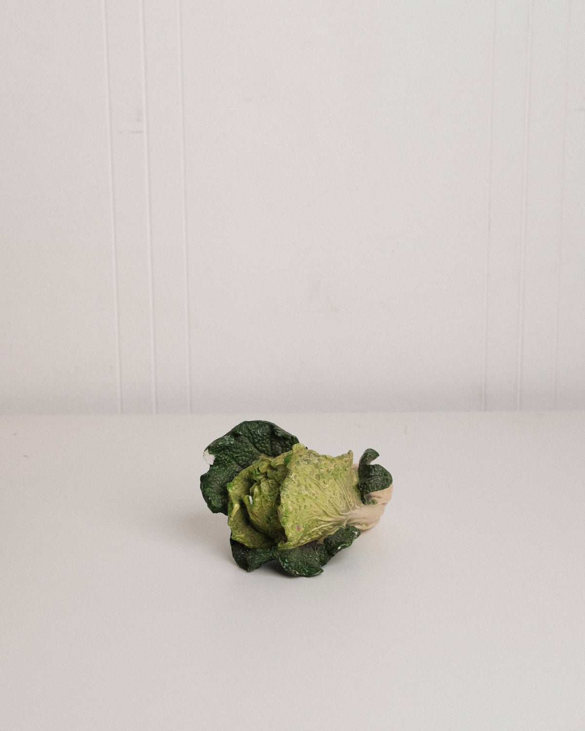 Vintage French Cabbage no. 2