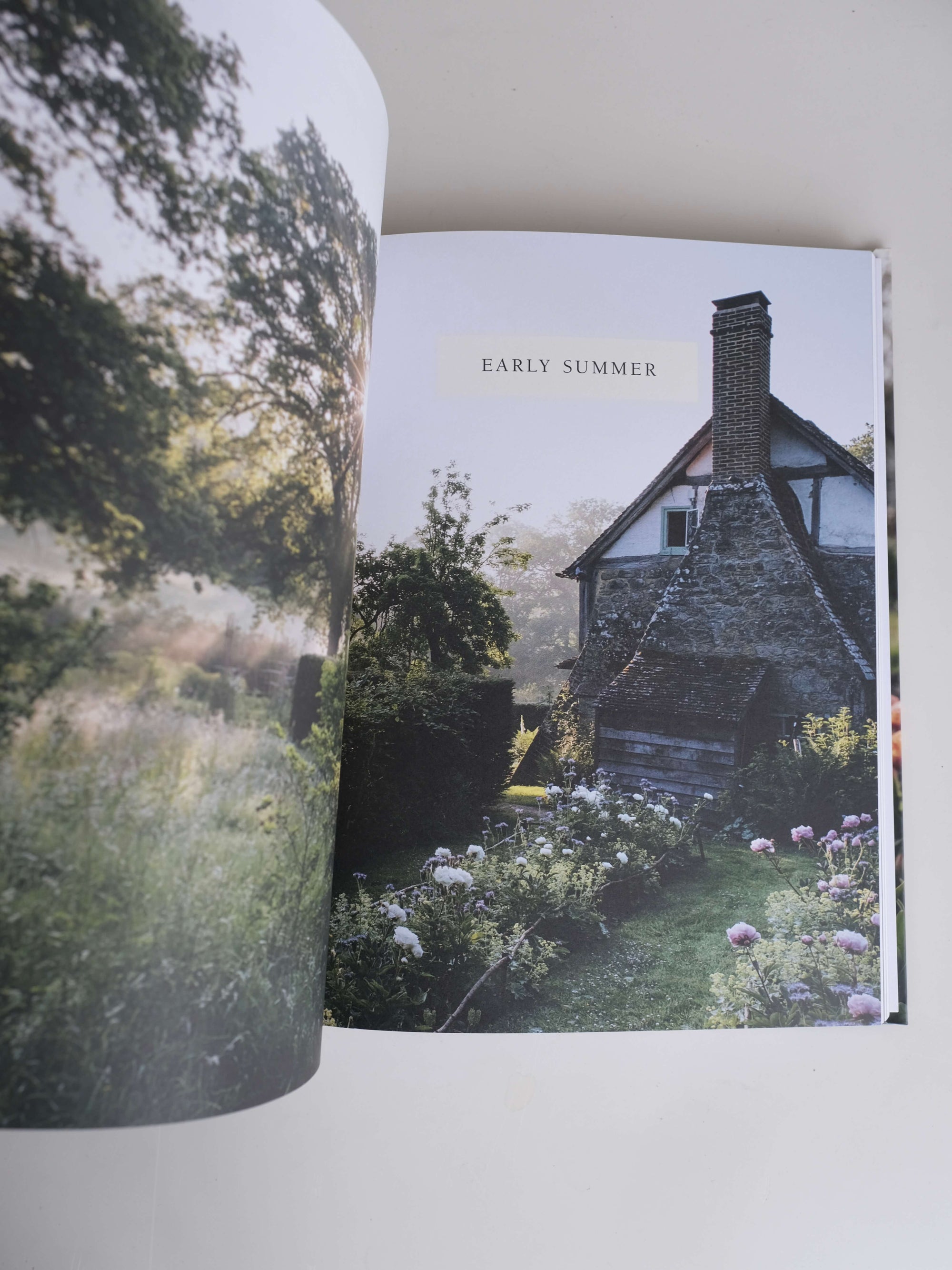 From Seed to Bloom by Milli Proust