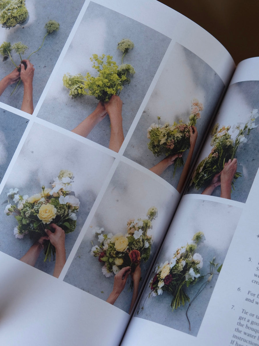 From Seed to Bloom by Milli Proust