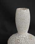 Amphora Vase 01 by Aura May