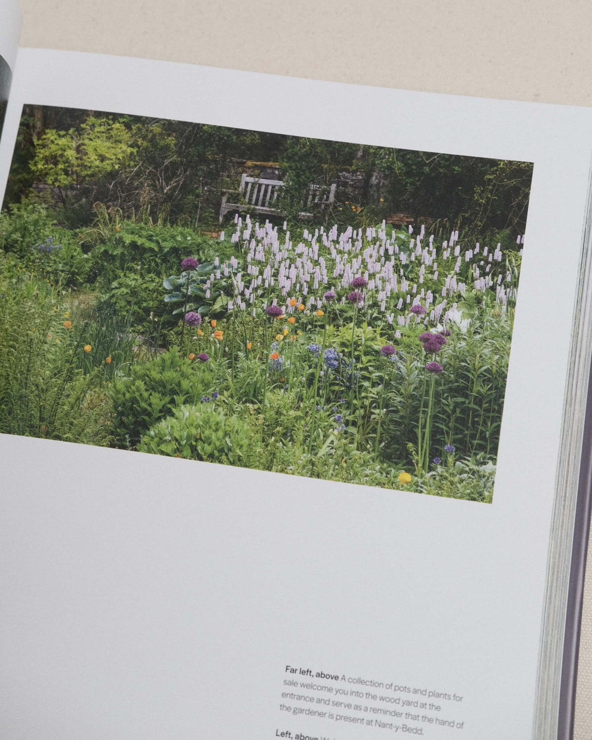 The New Beautiful - Inspiring Gardens for a Resilient Future