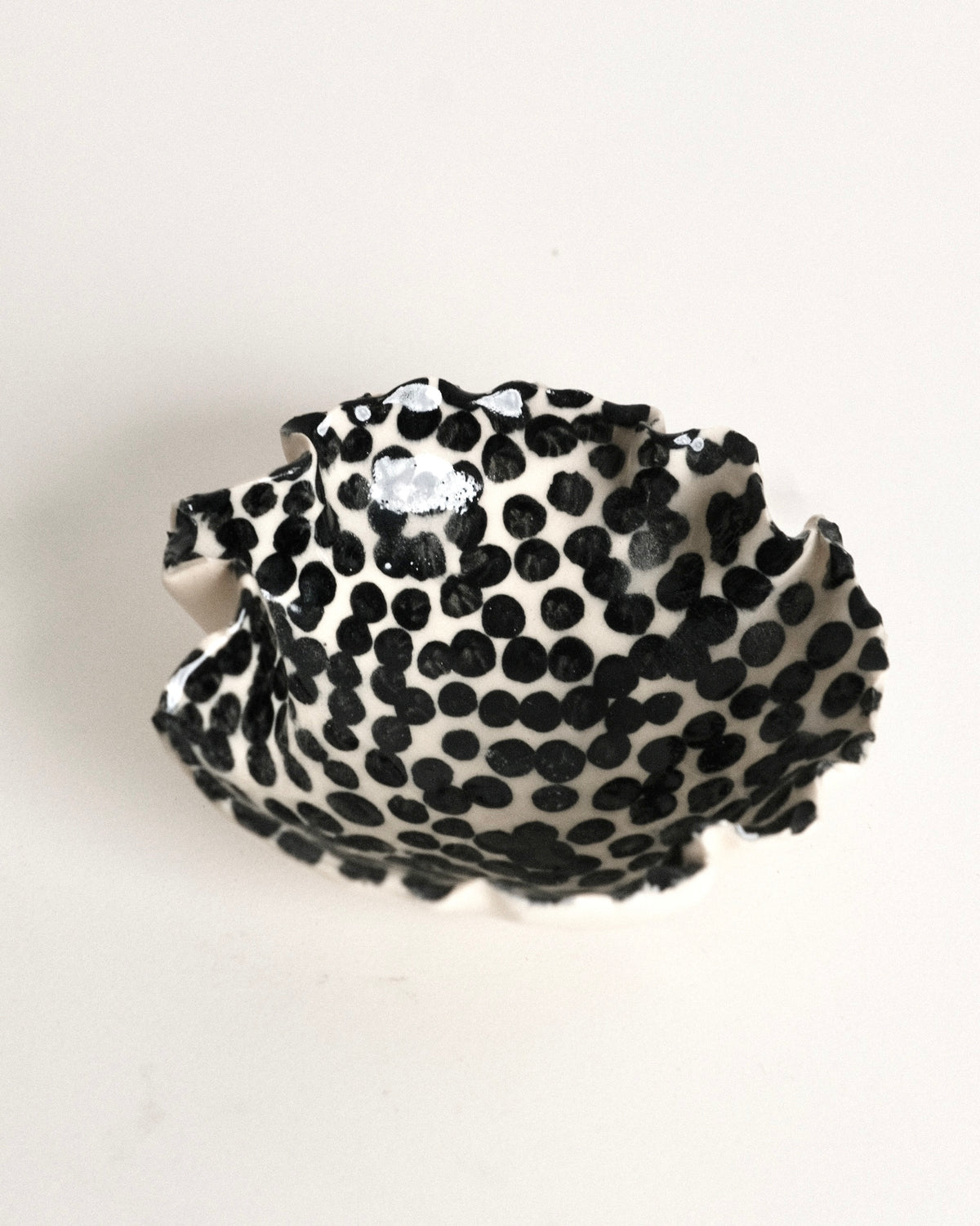 Dot Dish