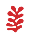 Rhubarb Designs